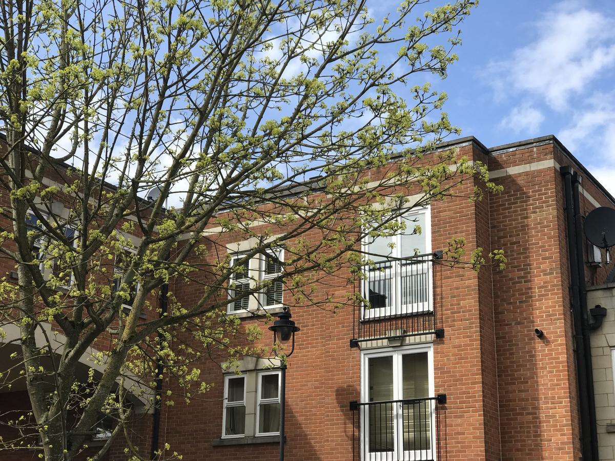 史云顿Godwin Court 21公寓 外观 照片